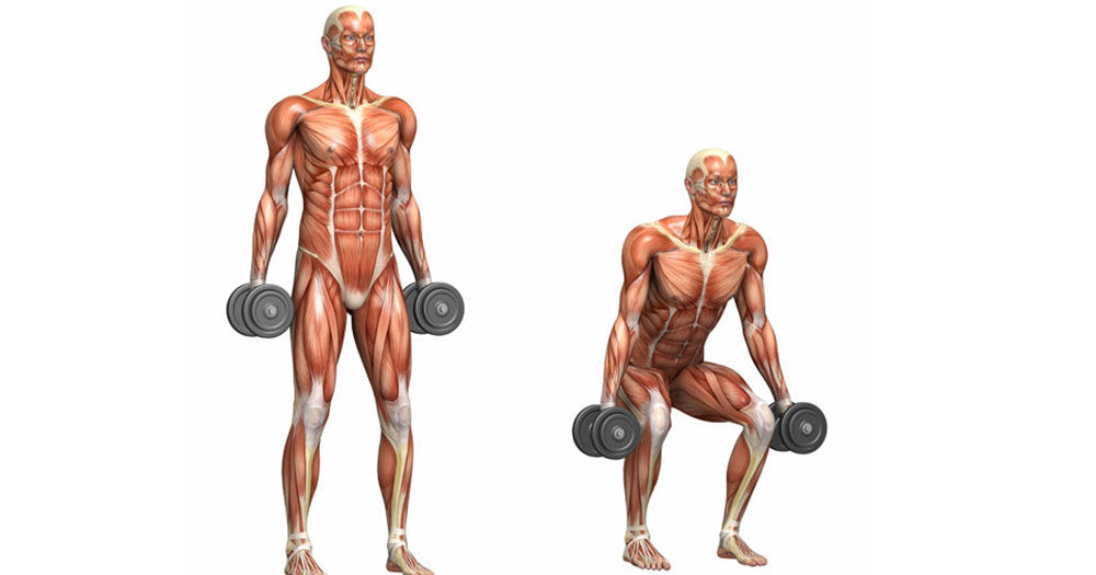 The Basics of Exercise Science (Part 2)